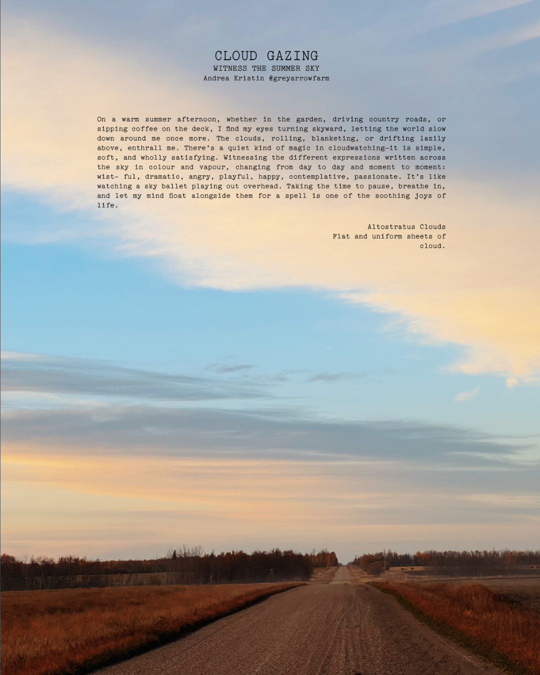 ISSUE 12 / Summer / DIGITAL BUNDLE