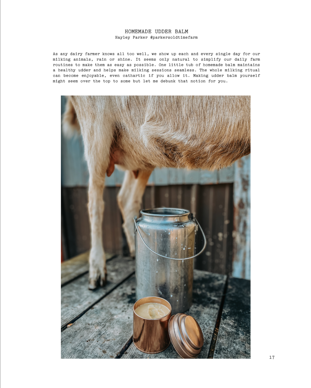 ISSUE 12 / Summer / DIGITAL BUNDLE