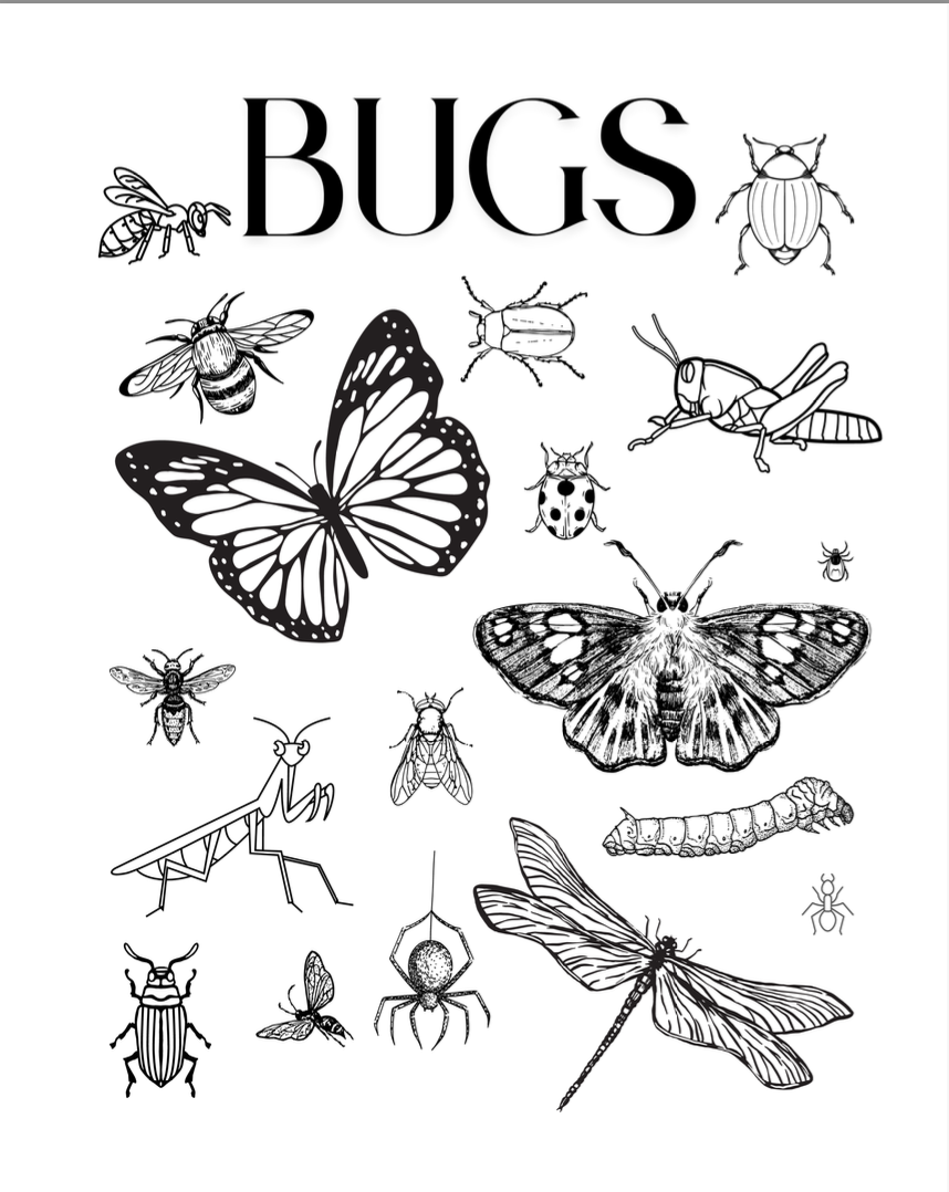 ISSUE 12 / Summer / DIGITAL BUNDLE