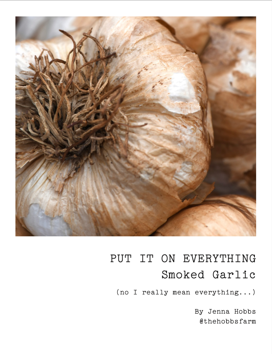 ISSUE 12 / Summer / DIGITAL BUNDLE
