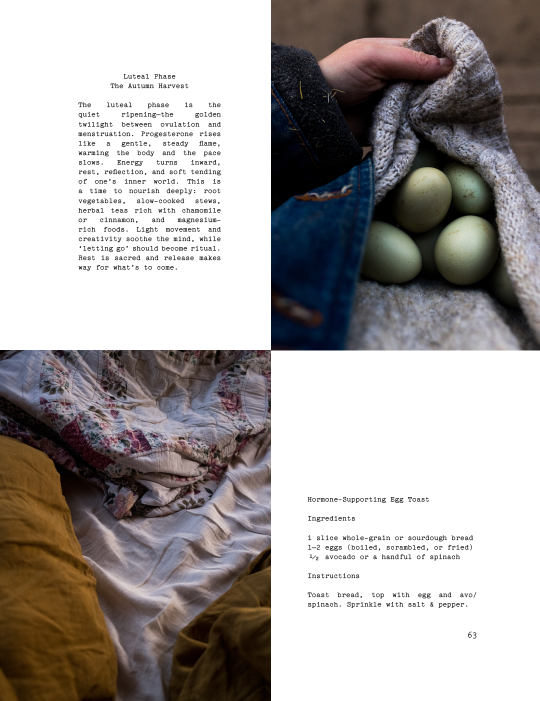 ISSUE 13 / Autumn / DIGITAL