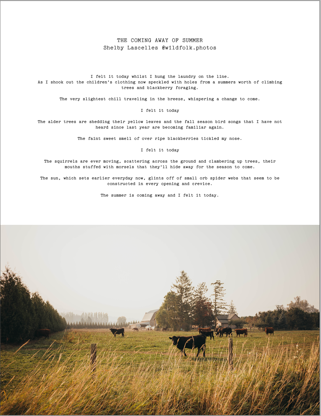 ISSUE 13 / Autumn / DIGITAL