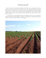 ISSUE 12 / Summer / DIGITAL BUNDLE