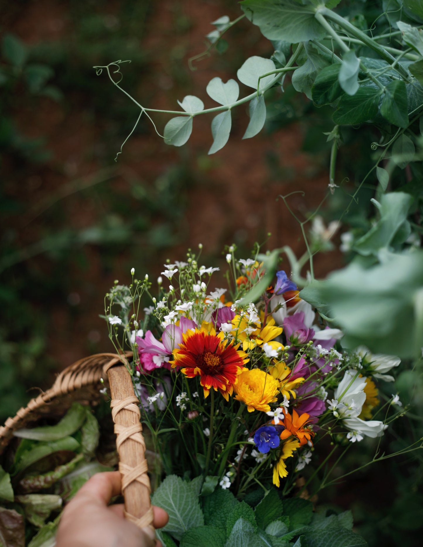 ISSUE 6 / Summer / Digital