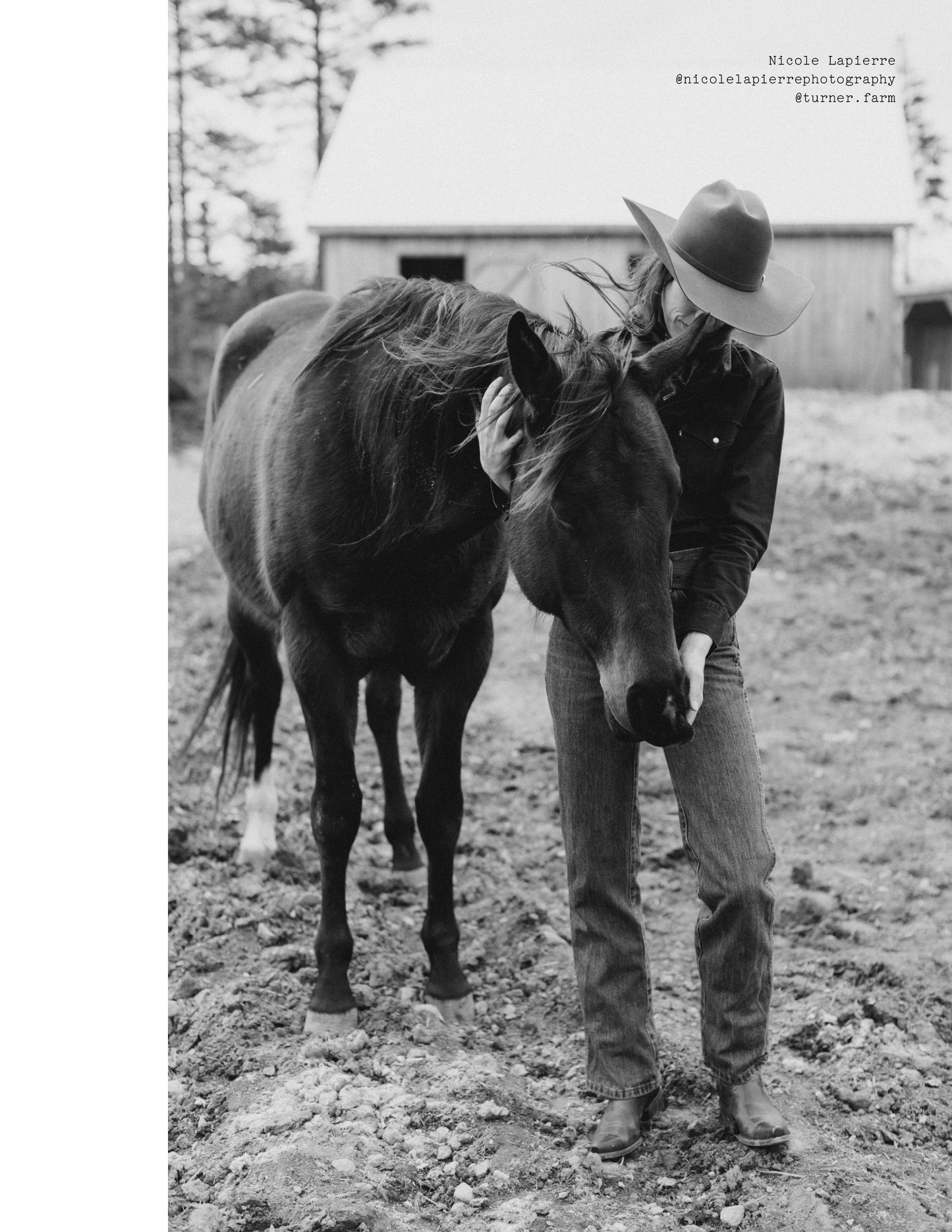 ISSUE 6 / Summer / Digital