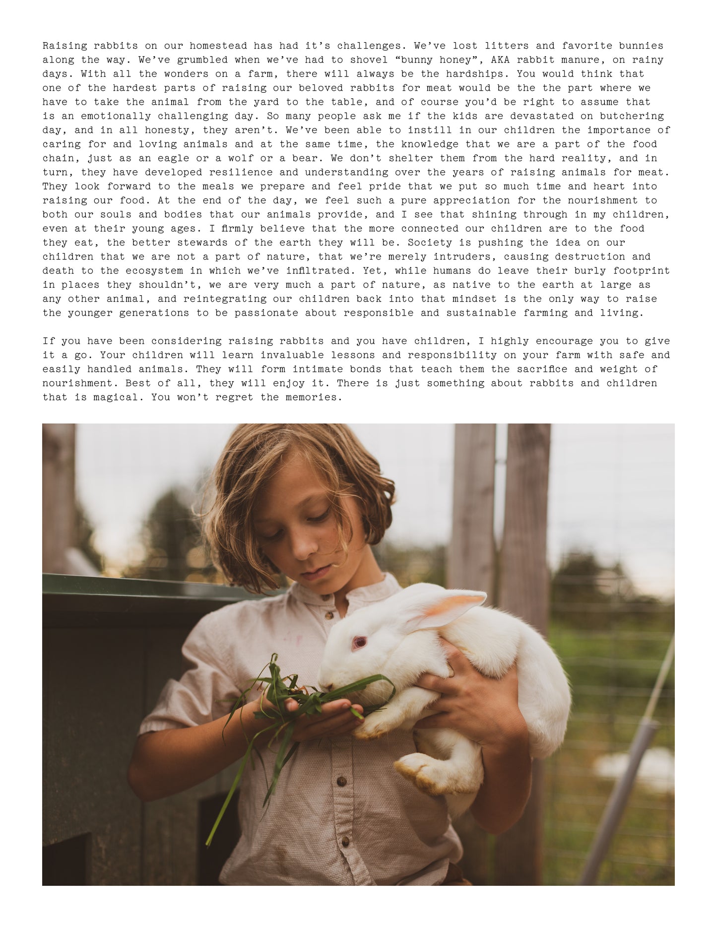 ISSUE 6 / Summer / Digital