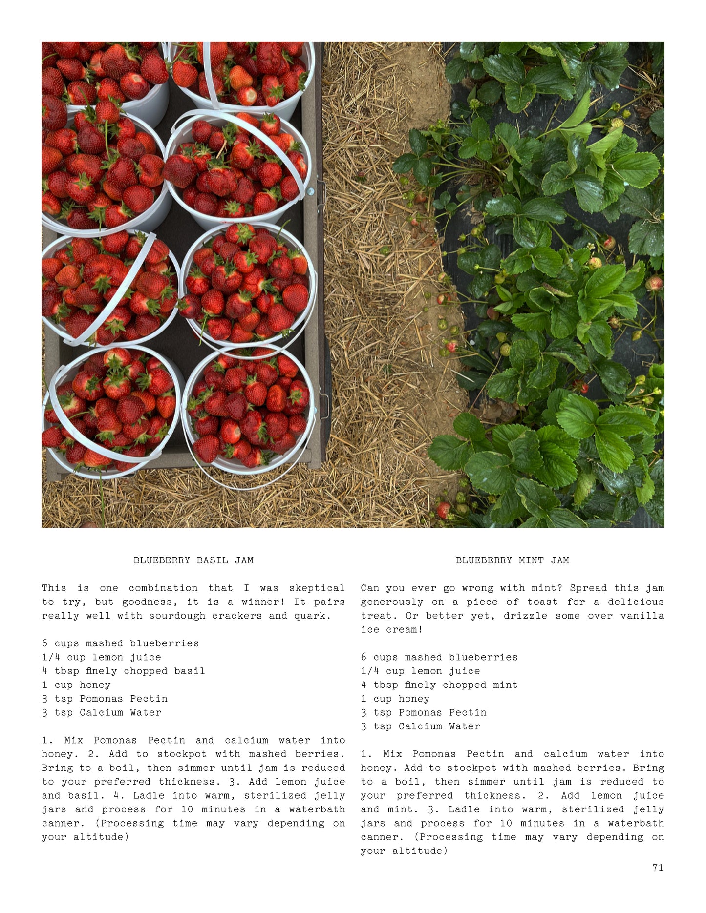 ISSUE 6 / Summer / Digital