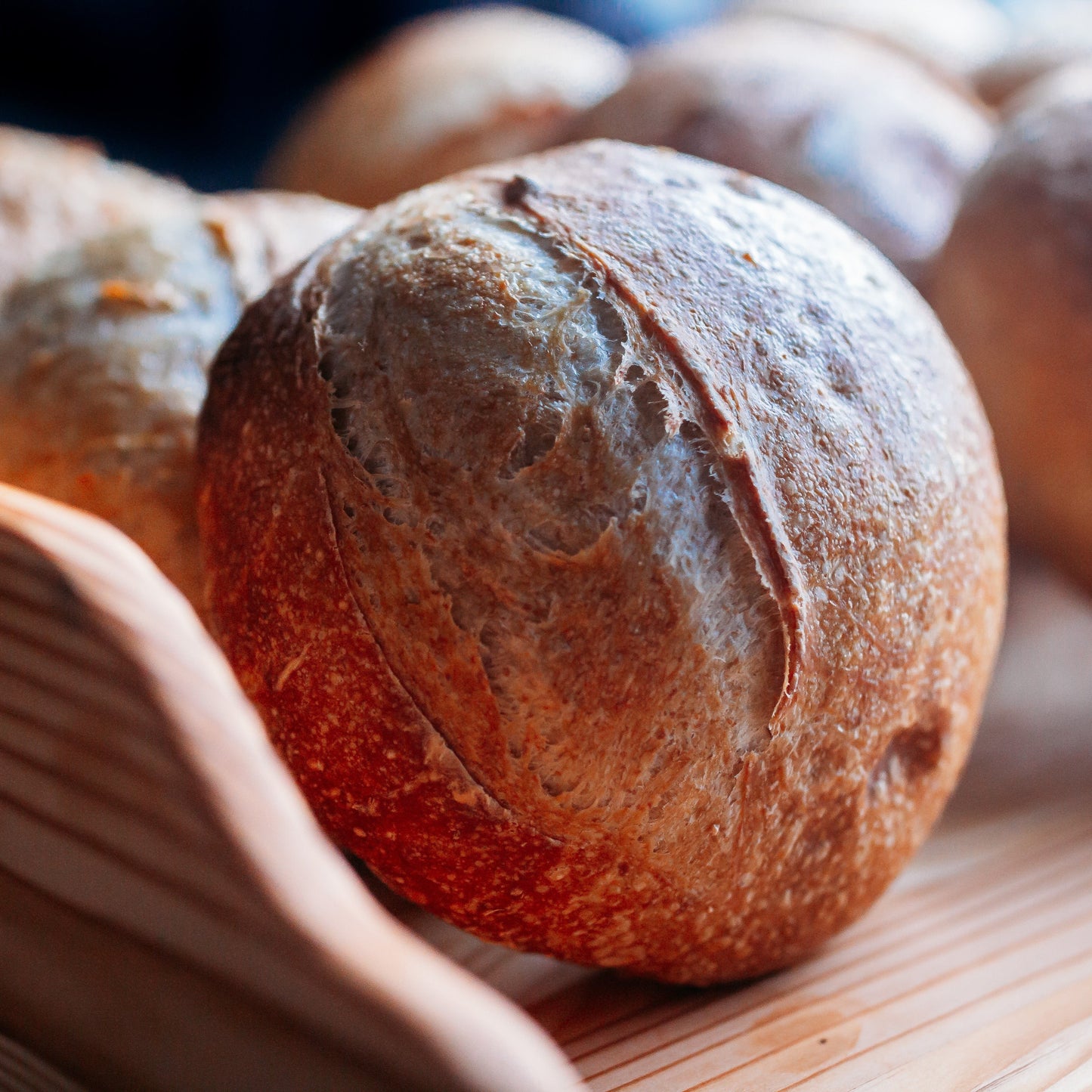 Hidden River Acres Dehydrated Sourdough Starter