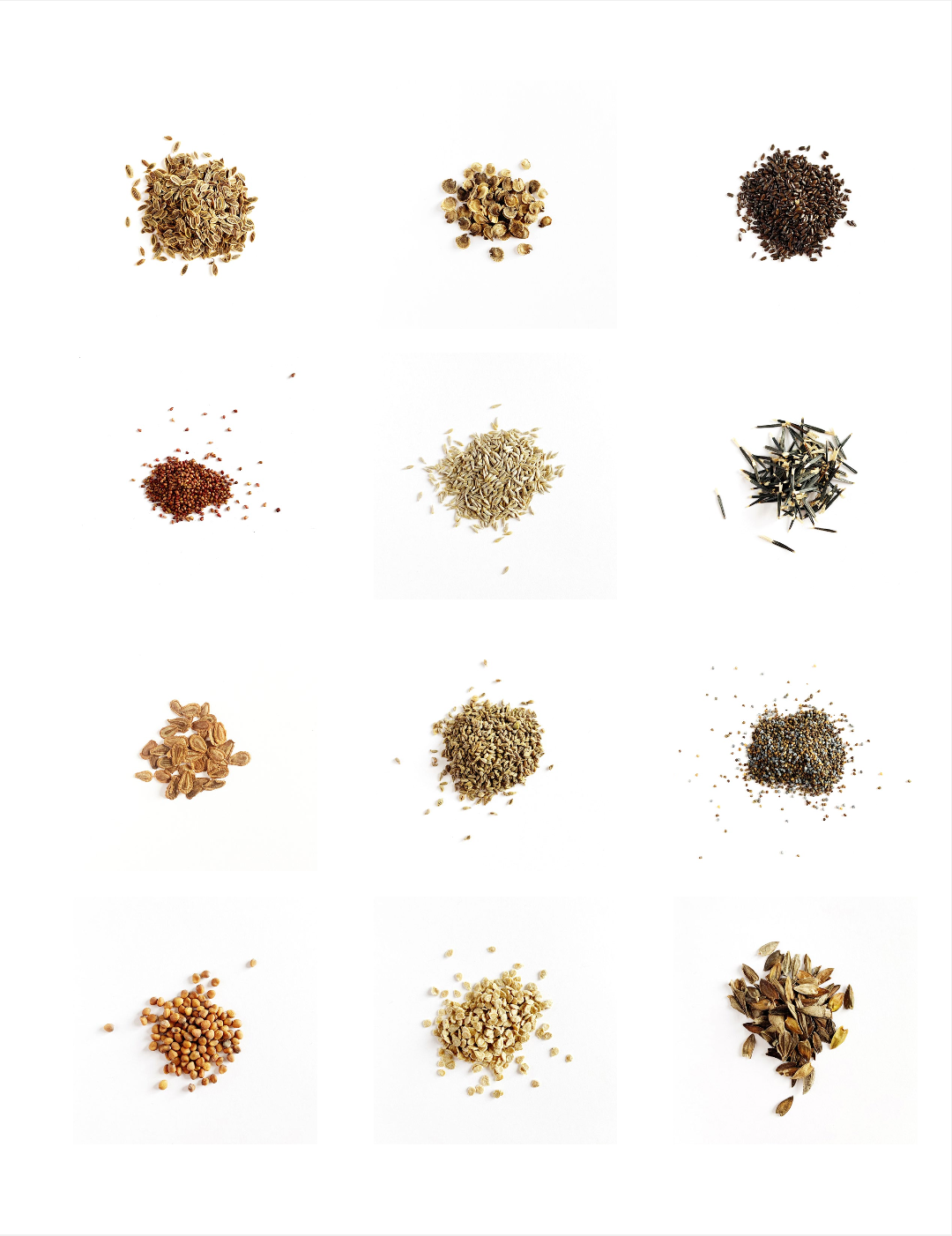 ISSUE 7 / Winter / Print