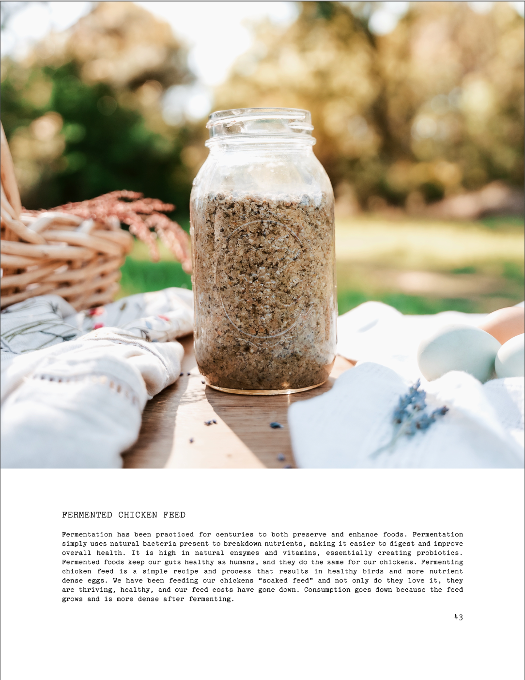 ISSUE 9 / Summer / DIGITAL BUNDLE