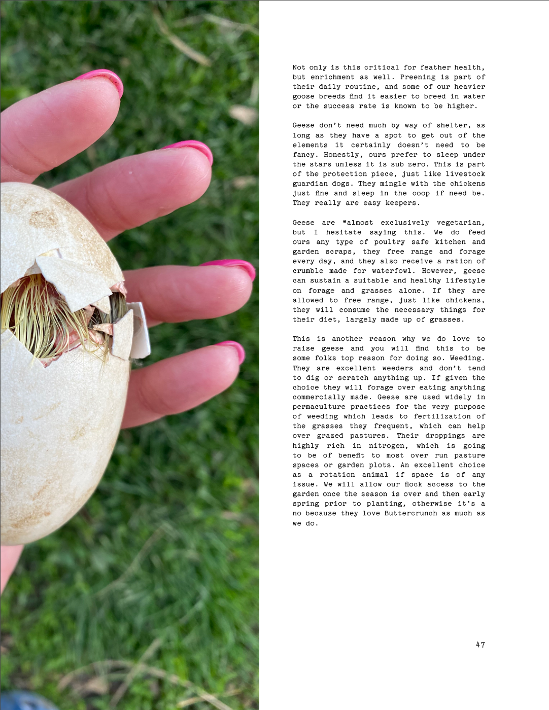 ISSUE 9 / Summer / DIGITAL BUNDLE