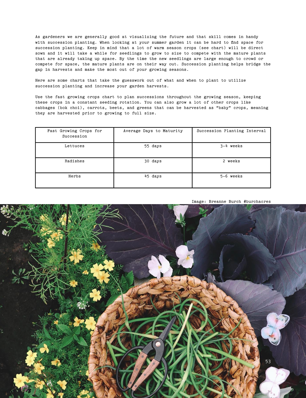 ISSUE 9 / Summer / DIGITAL BUNDLE