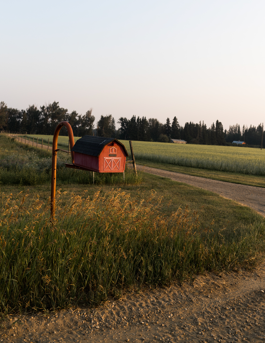 ISSUE 10 / Autumn / PRINT