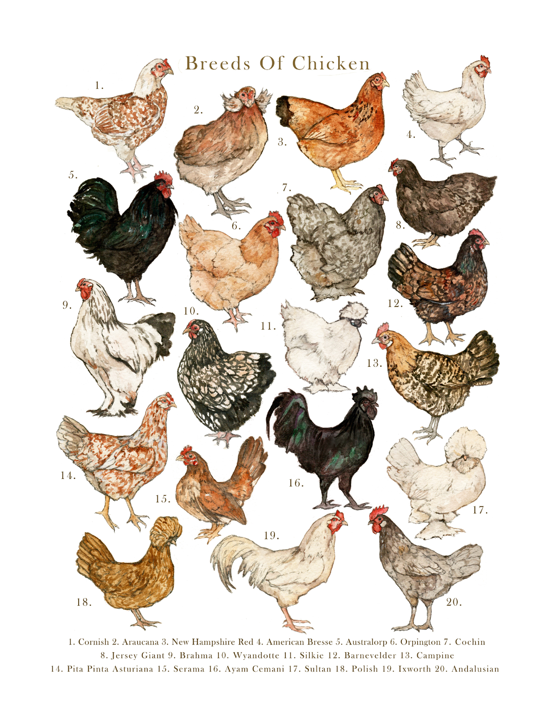 ISSUE 10 / Autumn / PRINT