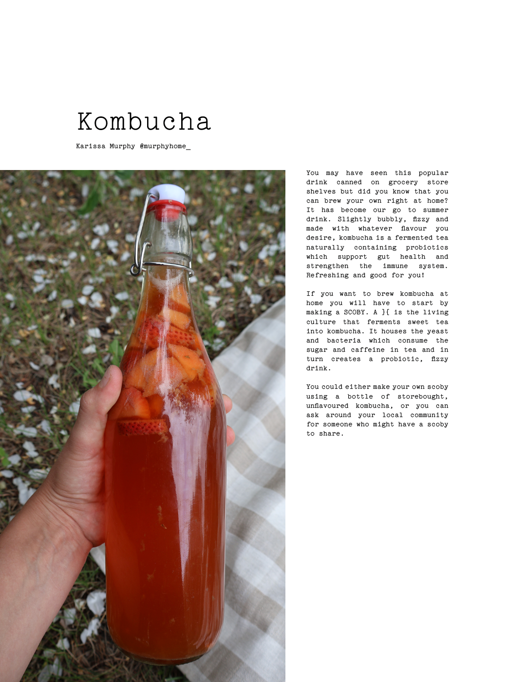 ISSUE 14 / SUMMER