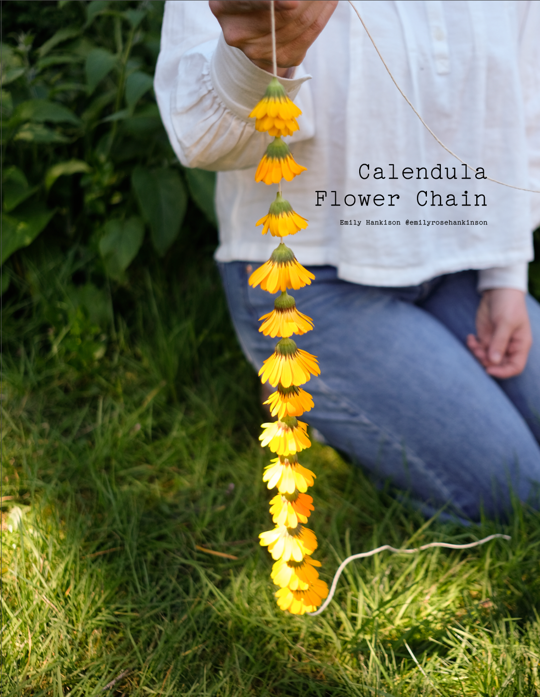 ISSUE 14 / SUMMER