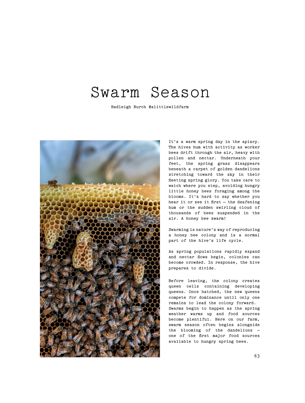 ISSUE 14 / SUMMER
