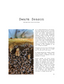 ISSUE 14 / SUMMER