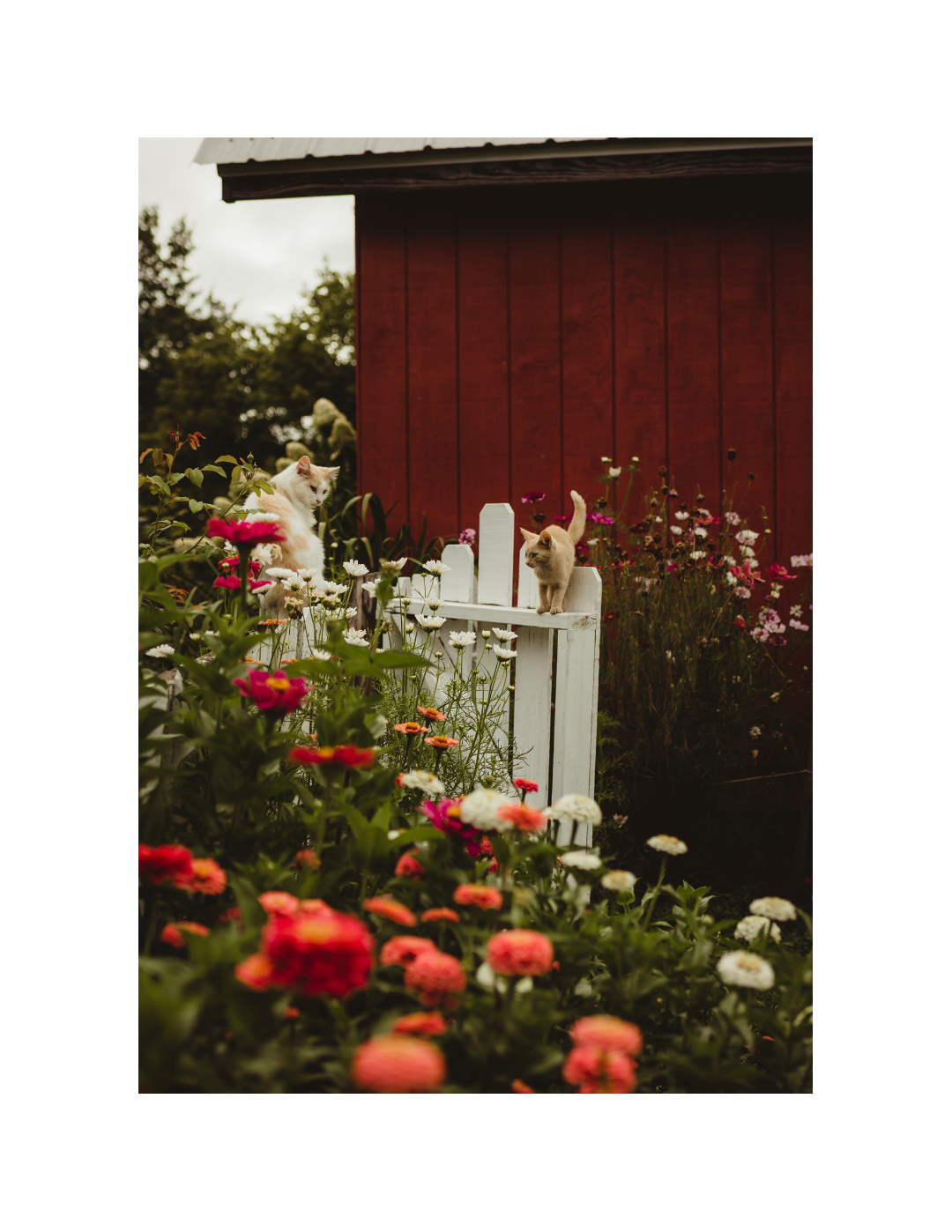 ISSUE 14 / SUMMER