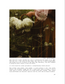 ISSUE 14 / SUMMER