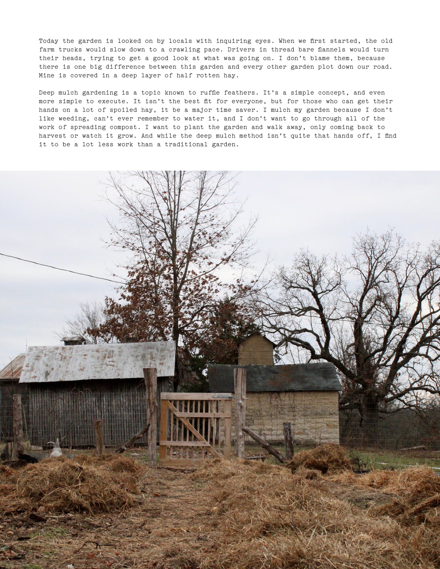 ISSUE 4 / Winter / Digital