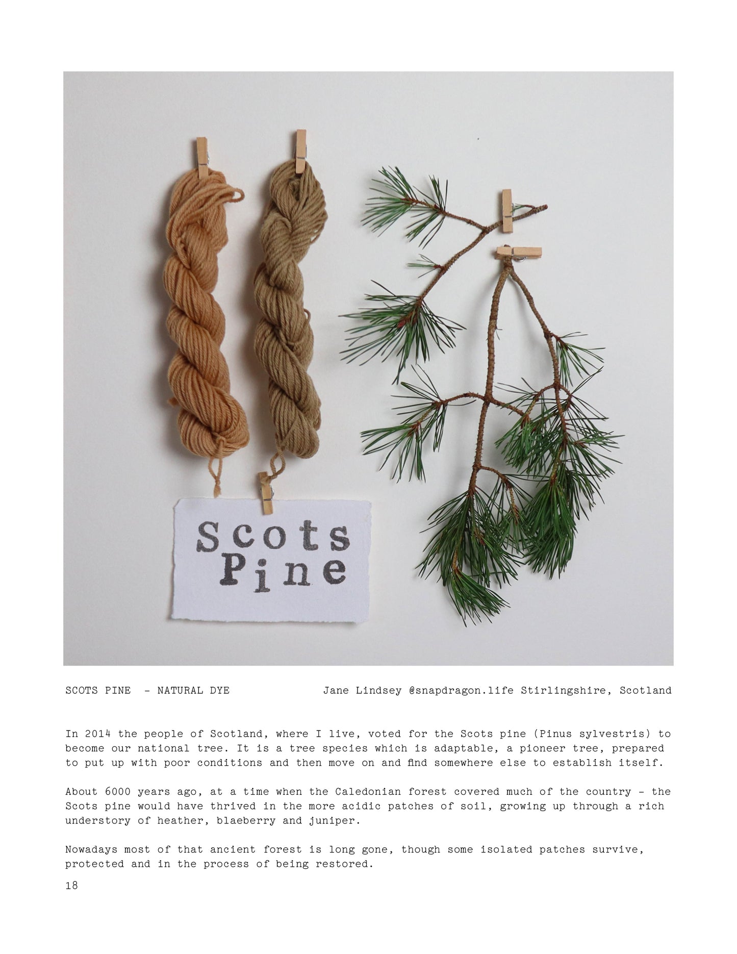 ISSUE 4 / Winter / Digital