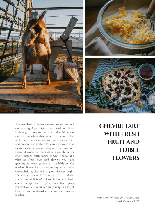 ISSUE 2 / Summer / Digital