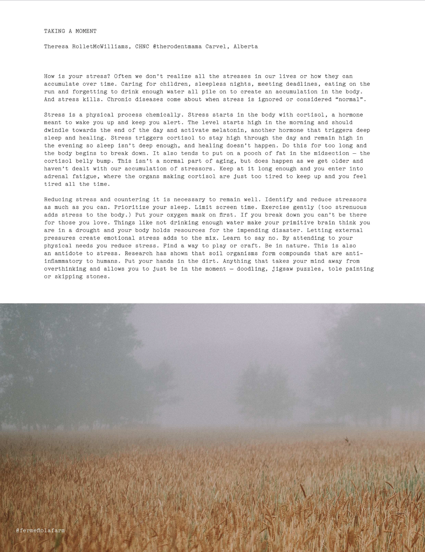 ISSUE 3 / Autumn / Digital