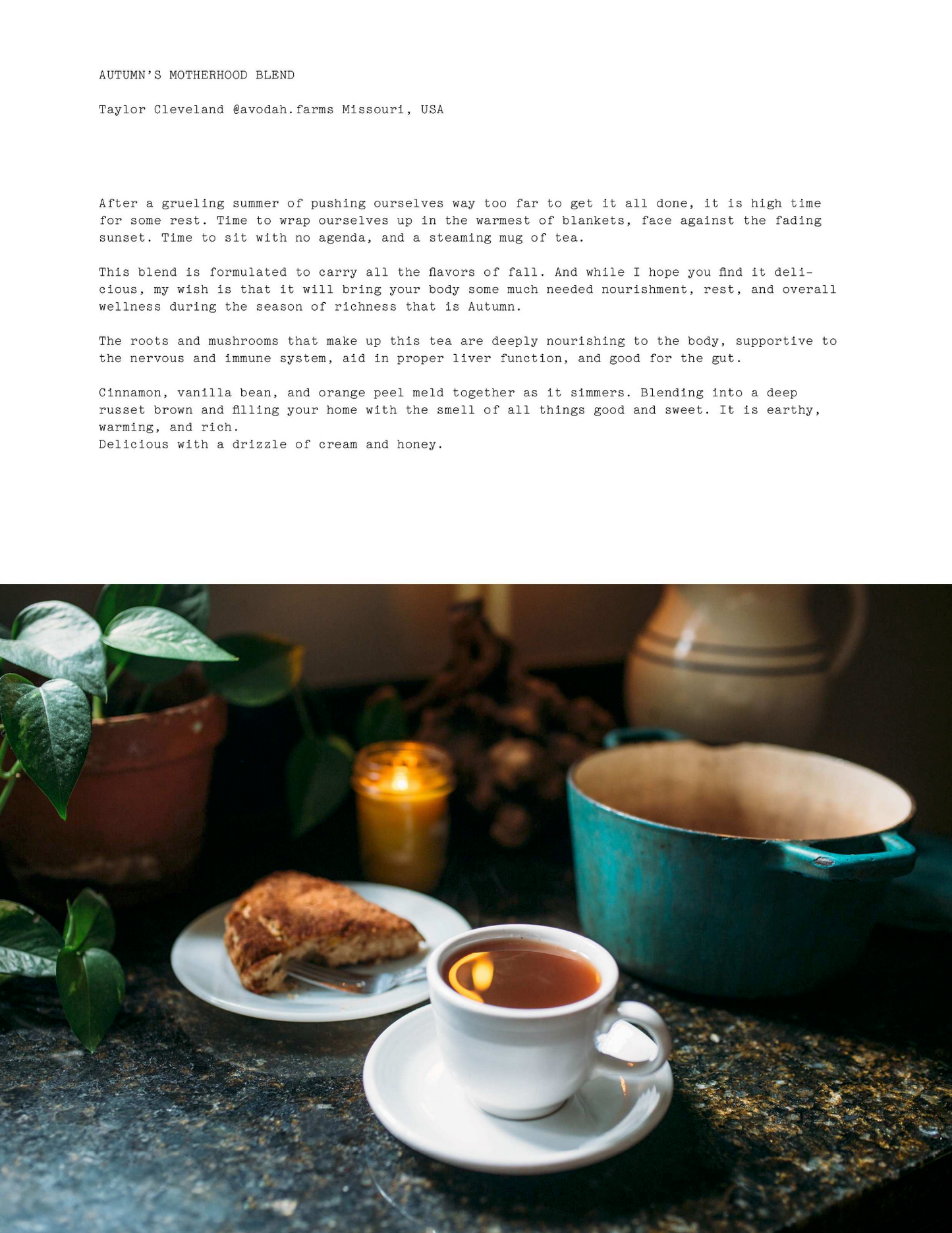 ISSUE 3 / Autumn / Digital