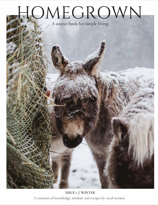 ISSUE 1 / Winter / Digital